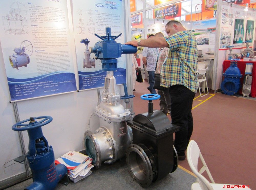 2012�V����(hu��)--�͑�����